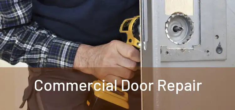  Commercial Door Repair 
