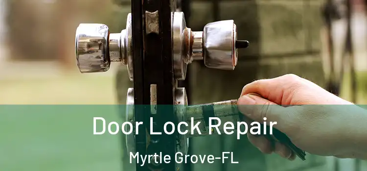Door Lock Repair Myrtle Grove-FL