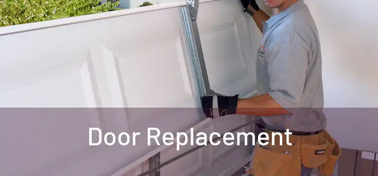  Door Replacement 