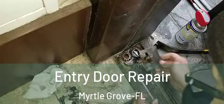  Entry Door Repair Myrtle Grove-FL