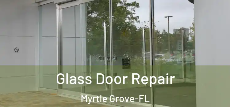  Glass Door Repair Myrtle Grove-FL