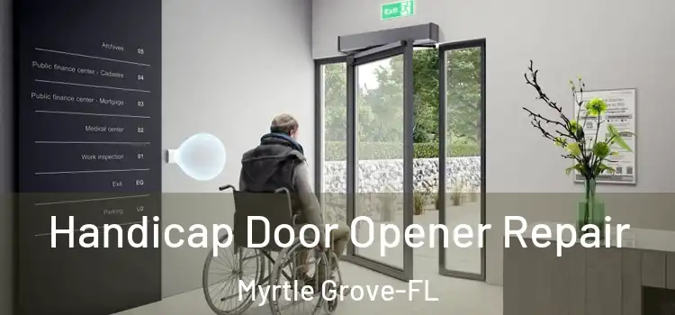  Handicap Door Opener Repair Myrtle Grove-FL