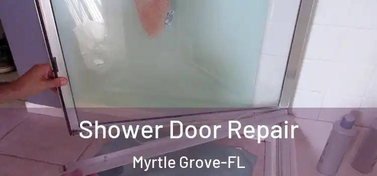  Shower Door Repair Myrtle Grove-FL