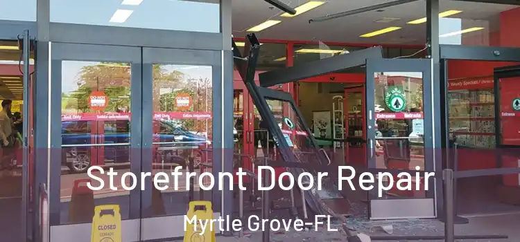  Storefront Door Repair Myrtle Grove-FL
